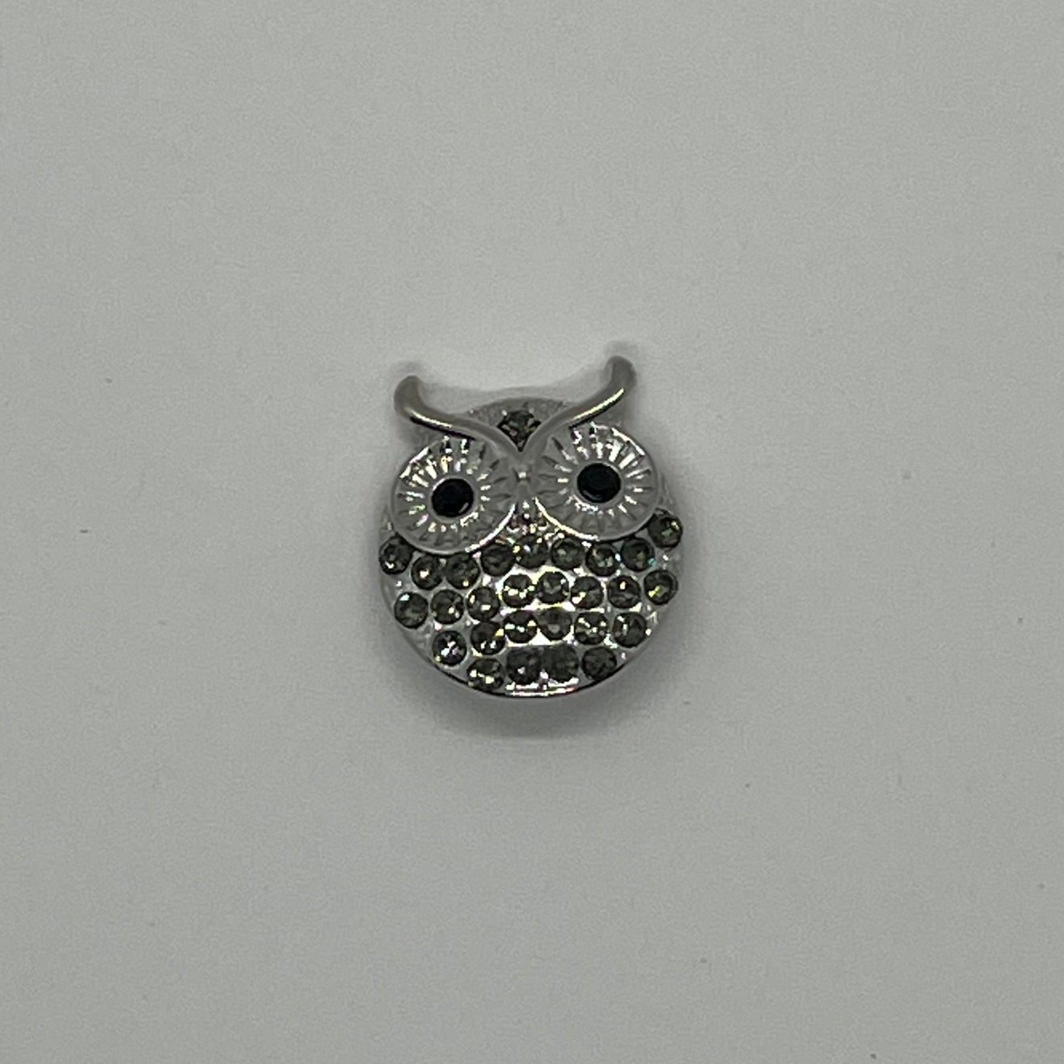 Owl SNAP Charm
